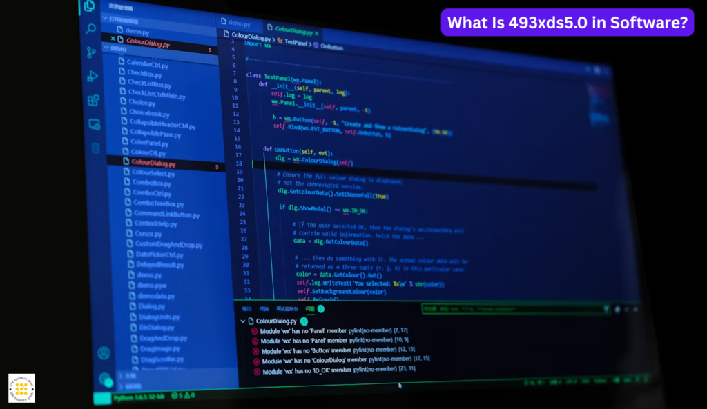 What Is 493xds5.0 in Software